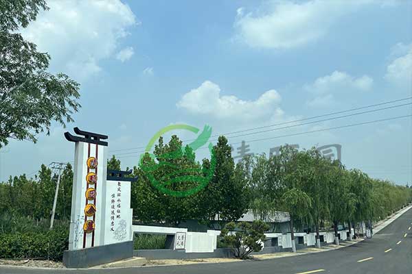 天津墓地价格