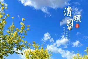 天津清颐园人文纪念园四月份月度服务报告